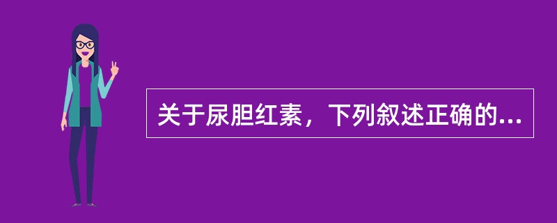 关于尿胆红素，下列叙述正确的是（）