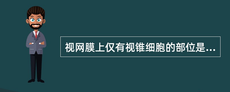 视网膜上仅有视锥细胞的部位是（）