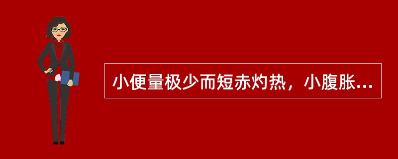 小便量极少而短赤灼热，小腹胀满，口苦口黏，舌质红，苔黄腻，脉数。治宜首选的治法是（）