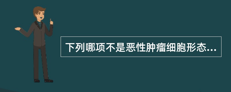 下列哪项不是恶性肿瘤细胞形态特点（）