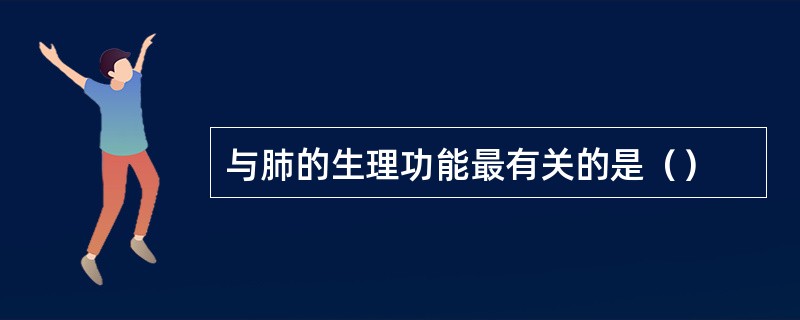 与肺的生理功能最有关的是（）