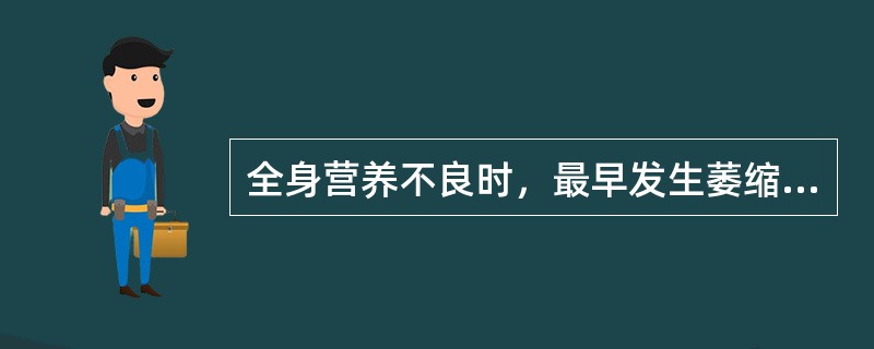 全身营养不良时，最早发生萎缩的器官或组织是（）