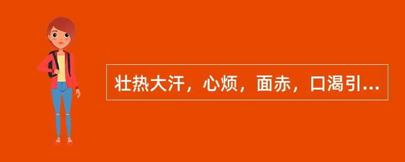 壮热大汗，心烦，面赤，口渴引饮，舌红，苔黄燥，脉洪大而数，证属（）