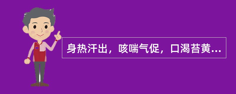 身热汗出，咳喘气促，口渴苔黄，脉数，辨证为（）