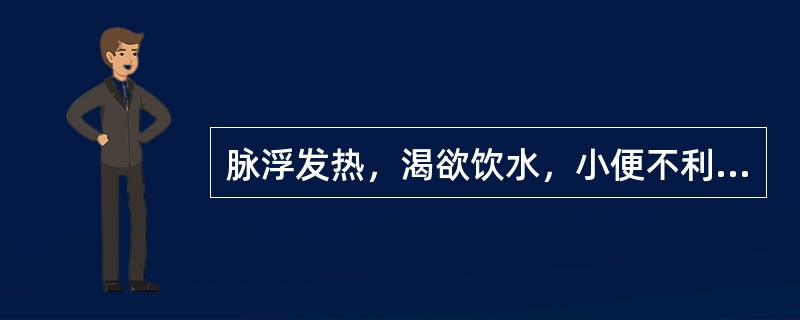 脉浮发热，渴欲饮水，小便不利者宜用（）