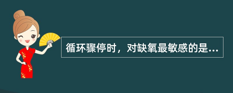 循环骤停时，对缺氧最敏感的是（）