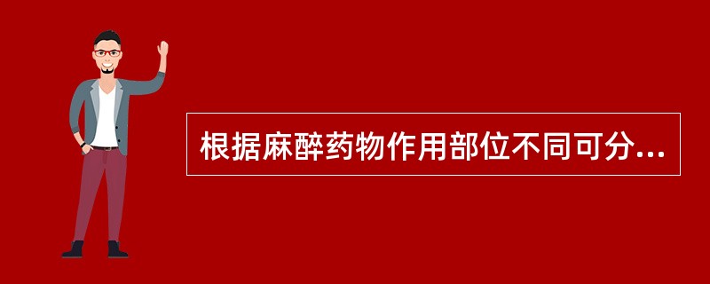 根据麻醉药物作用部位不同可分为四种麻醉方式，其中使用最广泛的是（）。