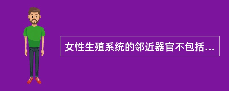 女性生殖系统的邻近器官不包括哪项？（）