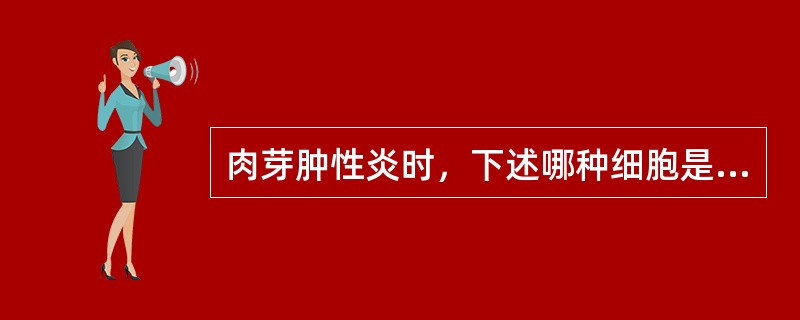 肉芽肿性炎时，下述哪种细胞是主要成分（）