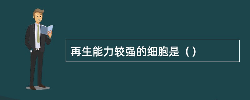 再生能力较强的细胞是（）