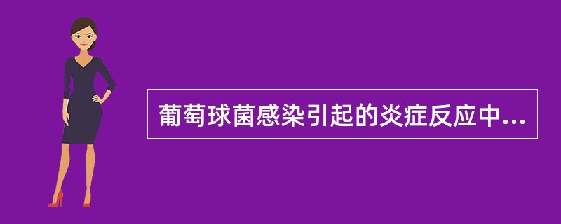 葡萄球菌感染引起的炎症反应中，病灶中主要的炎细胞是（）