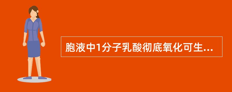 胞液中1分子乳酸彻底氧化可生成几分子ATP？（）