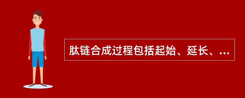 肽链合成过程包括起始、延长、终止；而在延长阶段则包括进位、转肽、移位。（）