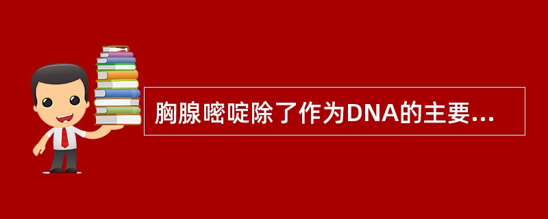 胸腺嘧啶除了作为DNA的主要组分外，还经常出现在（）分子中（）