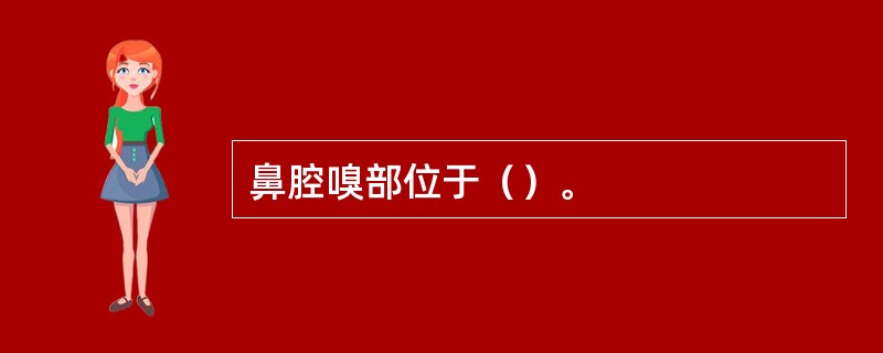 鼻腔嗅部位于（）。
