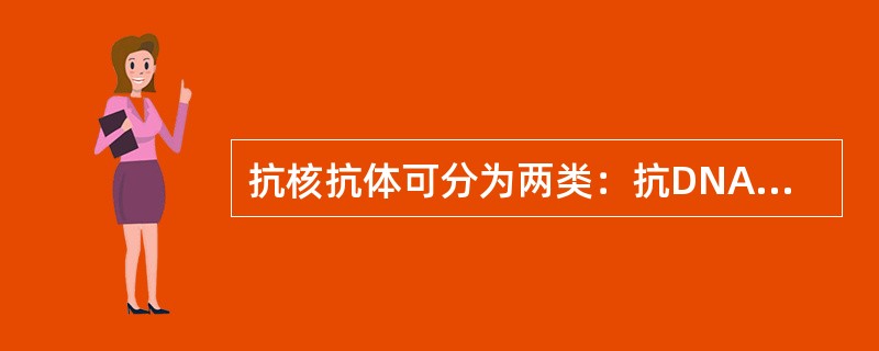 抗核抗体可分为两类：抗DNA抗体和抗组蛋白抗体。（）