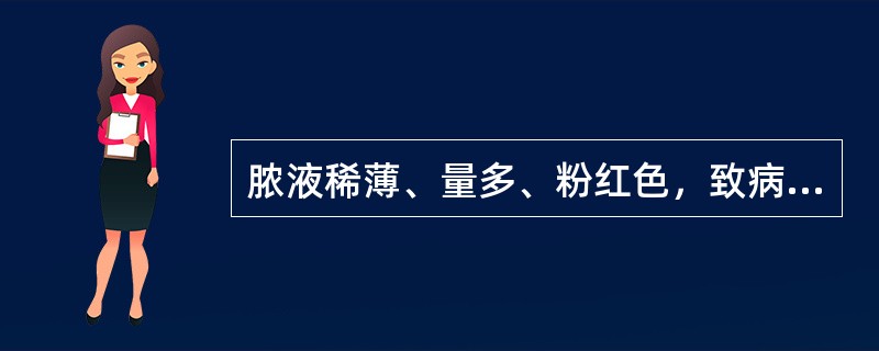 脓液稀薄、量多、粉红色，致病菌为（）