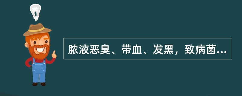 脓液恶臭、带血、发黑，致病菌为（）