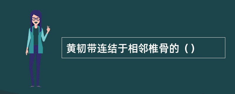 黄韧带连结于相邻椎骨的（）