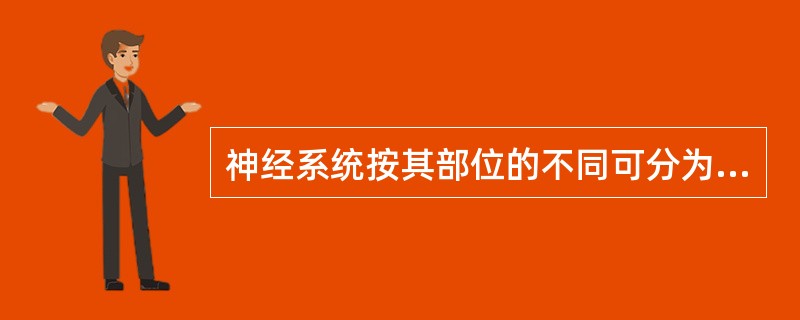 神经系统按其部位的不同可分为（）。