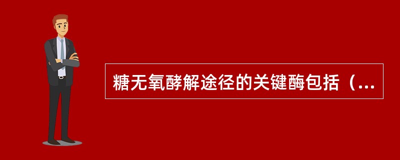 糖无氧酵解途径的关键酶包括（）。