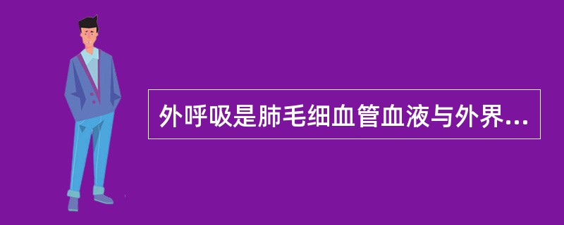 外呼吸是肺毛细血管血液与外界环境之间的气体交换过程，包括（）。