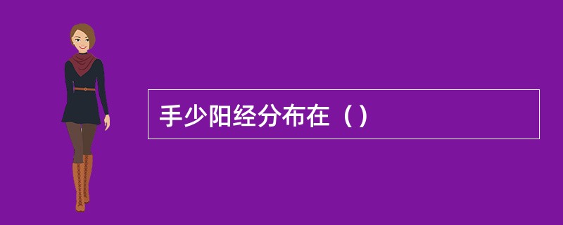手少阳经分布在（）