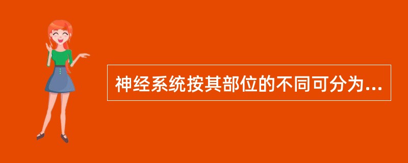 神经系统按其部位的不同可分为（）。