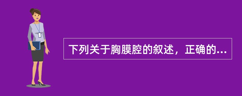 下列关于胸膜腔的叙述，正确的是（）