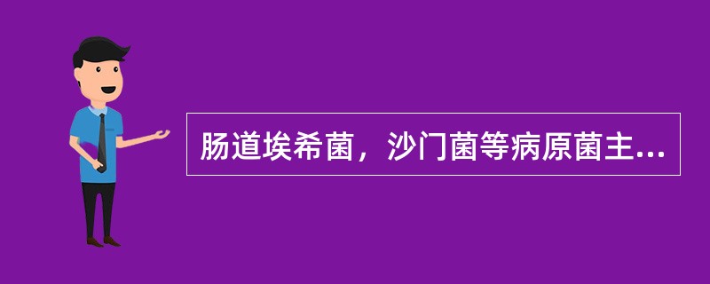 肠道埃希菌，沙门菌等病原菌主要经（）途径感染和传播。