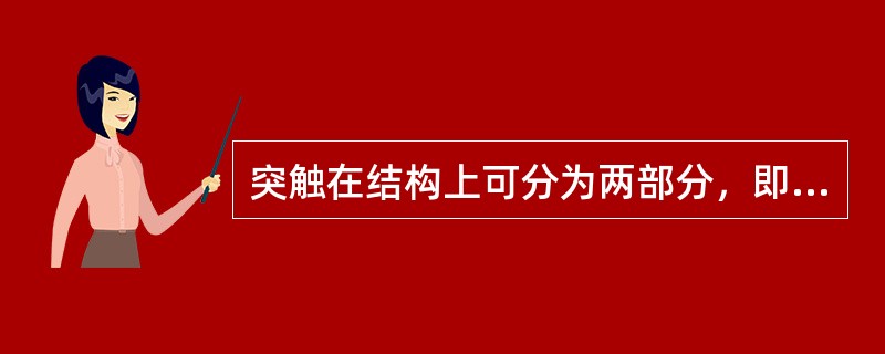 突触在结构上可分为两部分，即突触前部分和突触后部分。（）