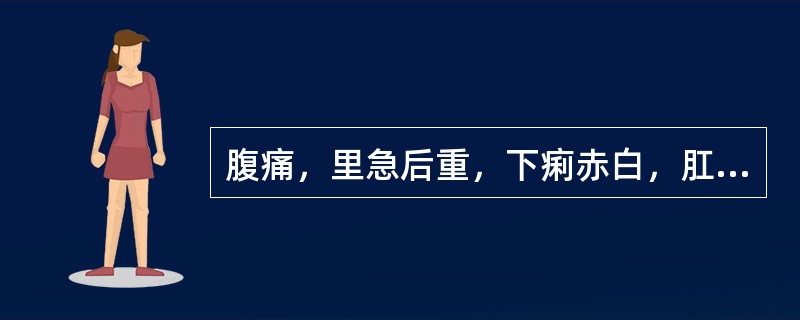 腹痛，里急后重，下痢赤白，肛门灼热，小便赤涩，苔黄腻，脉滑数（）