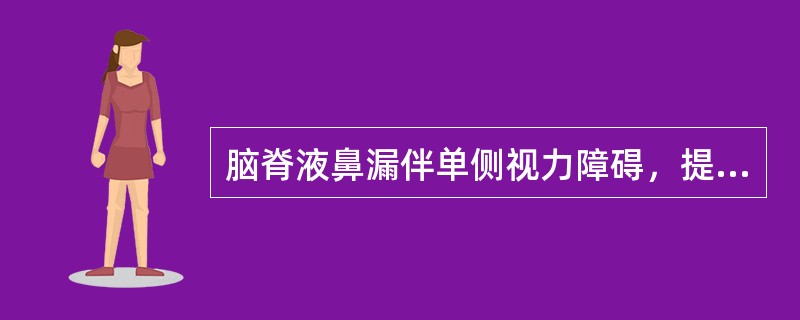 脑脊液鼻漏伴单侧视力障碍，提示瘘孔位于（）