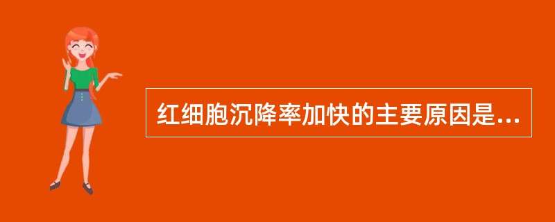 红细胞沉降率加快的主要原因是（）。