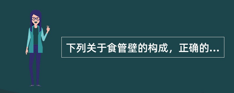 下列关于食管壁的构成，正确的是（）