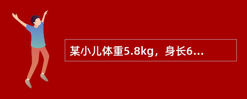 某小儿体重5.8kg，身长60cm，后囟已闭，最可能的年龄是（）