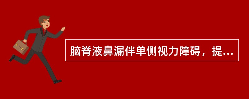 脑脊液鼻漏伴单侧视力障碍，提示瘘孔位于（）