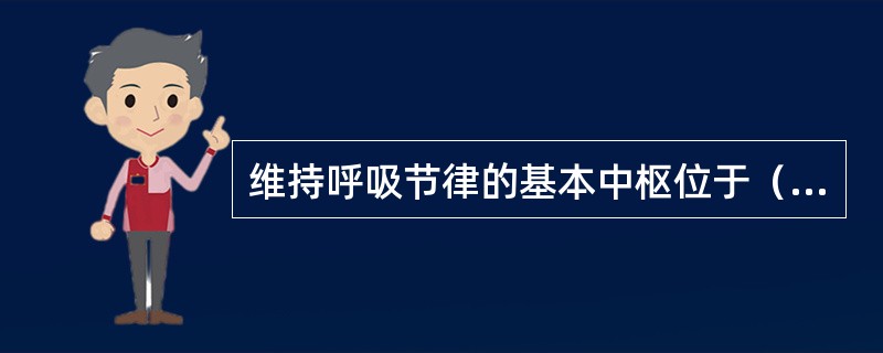 维持呼吸节律的基本中枢位于（）。