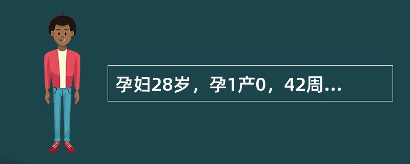 孕妇28岁，孕1产0，42周妊娠，近1周来胎动时感腹痛，入院体检：血压13.3／10.6kPa（100，／80mmHg），宫高32cm，腹围90cm，胎心140次／分，胎位LOA，子宫敏感性高。骨盆外