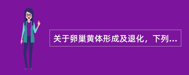 关于卵巢黄体形成及退化，下列叙述哪项不正确（）