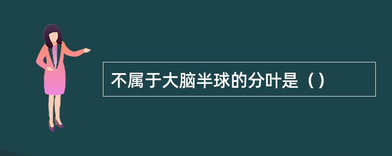 不属于大脑半球的分叶是（）