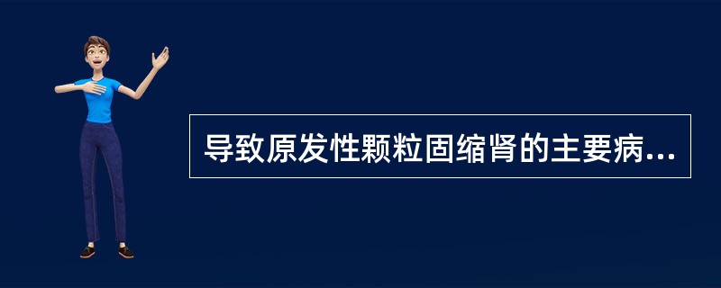 导致原发性颗粒固缩肾的主要病变是（）