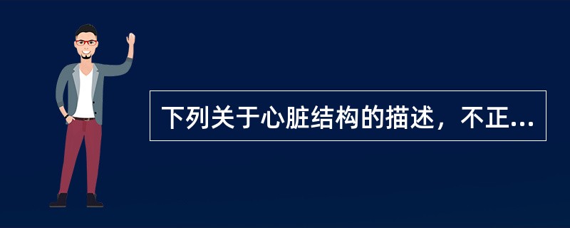 下列关于心脏结构的描述，不正确的是（）。