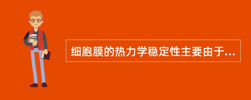 细胞膜的热力学稳定性主要由于（）