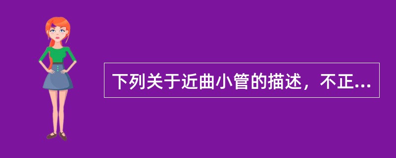 下列关于近曲小管的描述，不正确的是（）。