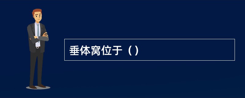 垂体窝位于（）