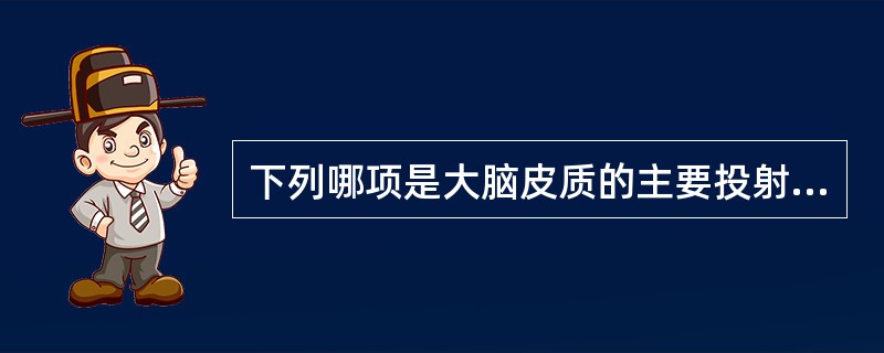 下列哪项是大脑皮质的主要投射神经元？（）