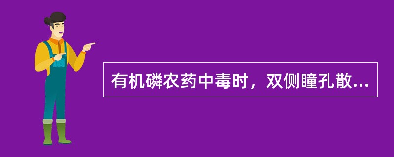 有机磷农药中毒时，双侧瞳孔散大。（）