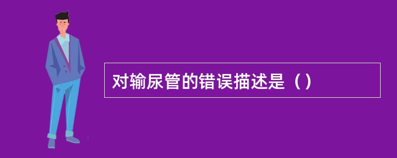 对输尿管的错误描述是（）