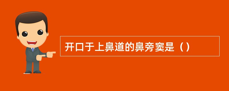 开口于上鼻道的鼻旁窦是（）